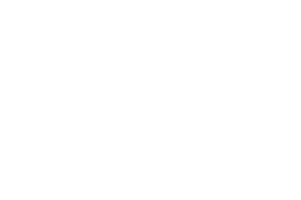 boston consulting group