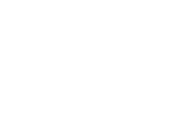 capital one