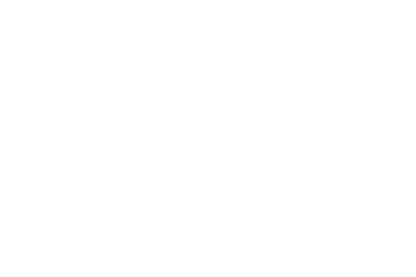 fairfax county economic development authority